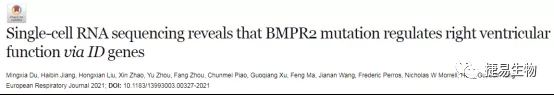 640.webp.jpg