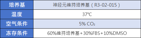前脑神经元细胞培养条件.png