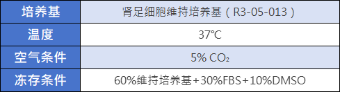 肾足细胞培养条件.png