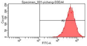 进口试剂SSEA4阳性率.png