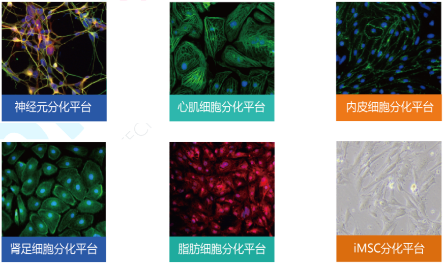 截图-20250919174828